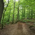 Diemelseeholiday Romantisches Im Sauerland Naehe Willingen Winterberg *