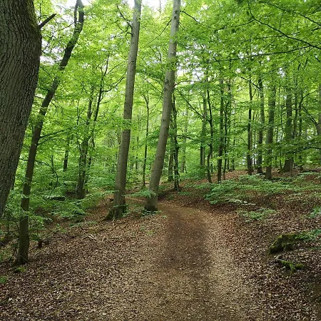 Diemelseeholiday Romantisches Im Sauerland Naehe Willingen Winterberg *
