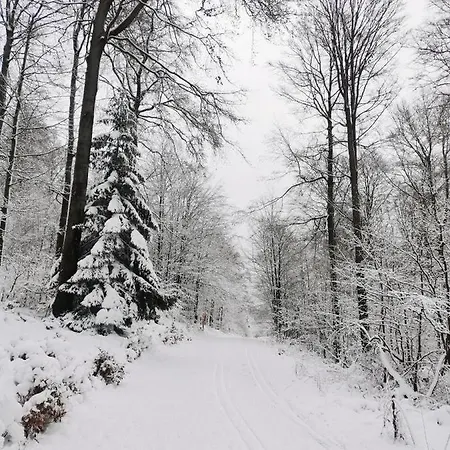 Διαμέρισμα Diemelseeholiday Romantisches Im Sauerland Naehe Willingen Winterberg