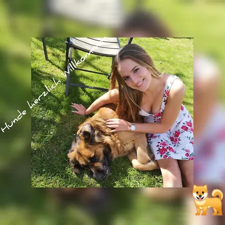 Apartamento Diemelseeholiday Romantisches Im Sauerland Naehe Willingen Winterberg *