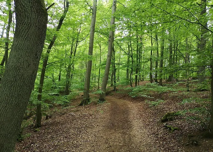 Diemelseeholiday Romantisches Im Sauerland Naehe Willingen Winterberg *