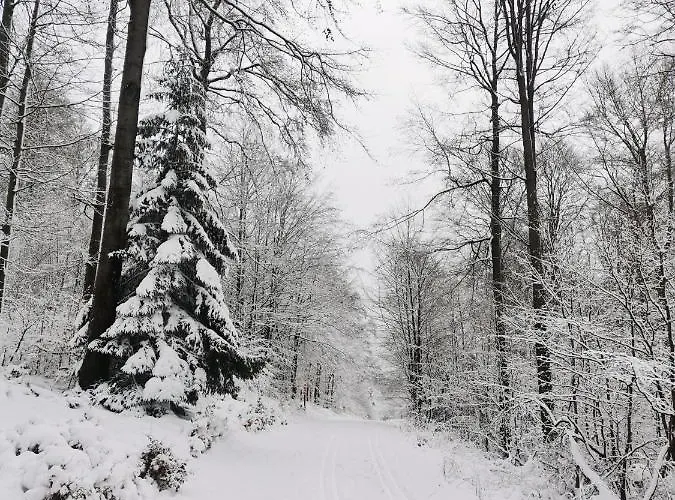 דירה Diemelseeholiday Romantisches Im Sauerland Naehe Willingen Winterberg