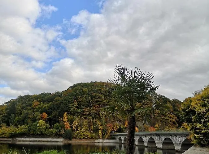 Diemelseeholiday Romantisches Im Sauerland Naehe Willingen Winterberg Diemelsee